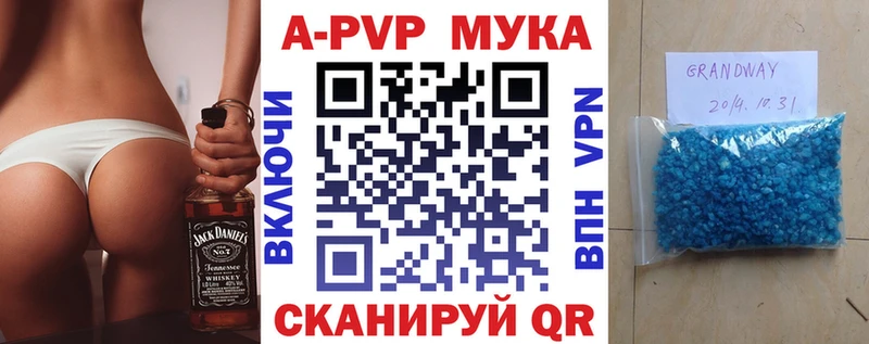 Купить закладки  Новодвинск  A-PVP СК КРИС 