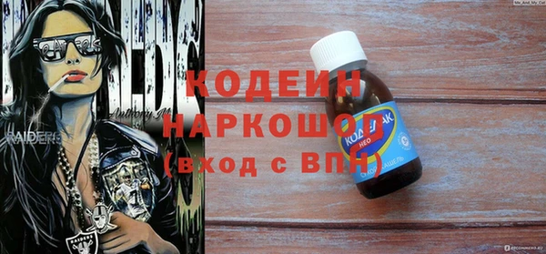 гашик Кулебаки