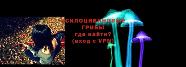ECSTASY Кукмор