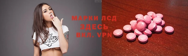 ECSTASY Кукмор
