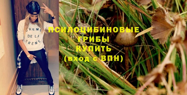 гашик Кулебаки