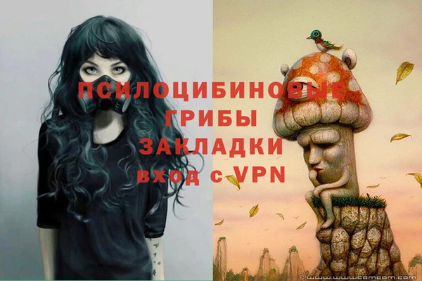 ECSTASY Кукмор