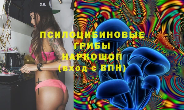 ECSTASY Кукмор