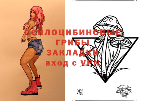 гашик Кулебаки
