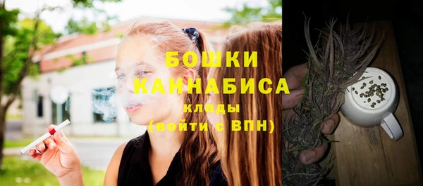 гашик Кулебаки