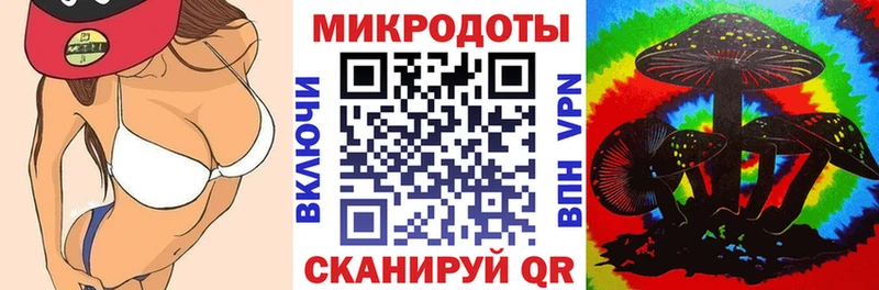 Купить где  Новодвинск  Галлюциногенные грибы Psilocybe 